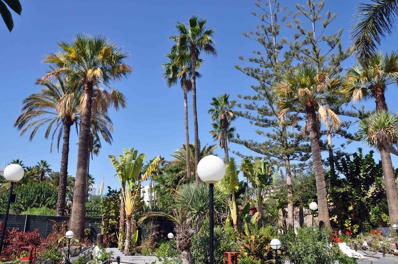 San Valentin & Terraflor Park Hotell Playa del Inglés Eksteriør bilde